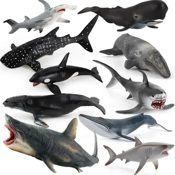 1 Adet Simülasyon Deniz Yaşamı Katil Balina Beyaz Köpekbalığı Aksiyon Figürleri PVC Kambur Cachalot Heykelcik eğitici oyuncak Çocuklar İçin