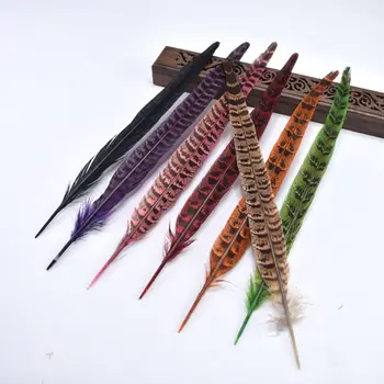 10 Adet / grup Doğal Sülün Kuyruk Tüyleri El Sanatları İçin 10-12 inç renkli Tüyler takı yapımı için DIY Parti Süslemeleri Tüyleri