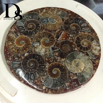 120mm Doğal Amonit Dilim Plaka Okyanus Salyangoz Kabuklu Taş Madagaskar mineral örneği Dekorasyon Ekran İçin