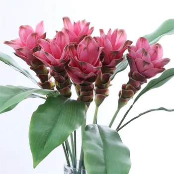 20 Adet Sahte Curcuma alismatifolia Gagnep Simülasyon Zencefil Lotus Ev Düğün Dekoratif yapay çiçekler