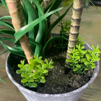 26/37cm Yapay Tropikal Kaktüs Sahte Succulents Bitkiler Küçük Agave Dracaena Ağaç Saksı Ev Masası Dekor için Bonsai Çöl