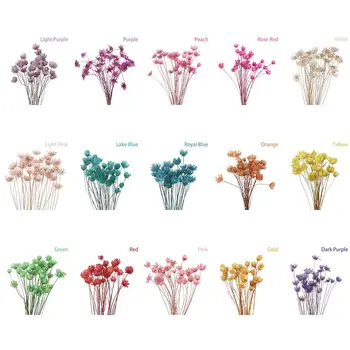 30 adet / paket Canlı Ev Dekor DIY El Sanatları Düğün Malzemeleri Küçük Yıldız Kurutulmuş Çiçekler Mini Papatya Çiçek Buketleri