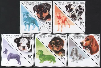 5 Adet / takım Gine Posta Pulları 1997 Pet Köpek Tri Açı Kullanılan Posta İşaretli Posta Pulları Toplamak için