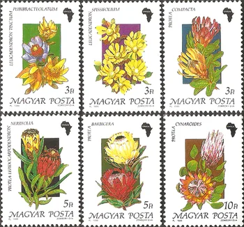6 Adet / takım Yeni Macaristan Post Damga 1990 Afrika Çiçekler Pullar MNH