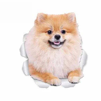 Dawasaru Pomeranian Köpek için Araba Styling Etiketler Gövde Çıkartması Su Geçirmez Vinil Malzeme için Uygun VAN RV,13cm*11cm
