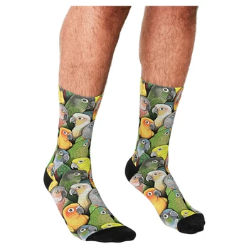 Erkek komik çoraplar Klitoris Desen Orta tüp Çorap harajuku Erkekler Mutlu hip hop Yenilik sevimli erkek Ekip Rahat Çılgın Çorap benim için