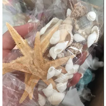 Fotoğraf Sahne Doğal Denizyıldızı Kabuklu deniz hayvanı kabuğu Minyatür Düğün Dekorasyon Zanaat Süsler Dekor Sahne