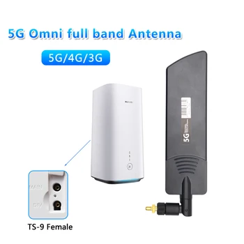 Geniş bant 5G 4G 3G GSM 600~6000MHz Yüksek Kazanç 22dbi Anten Kapalı Açık WiFi Su Geçirmez Yönlendirici Anten TS9 SMA erkek dişi