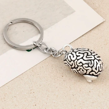 İnsan beyin Anahtarlık 3D organları kolye Anahtarlık psikolog parçaları Anahtarlık