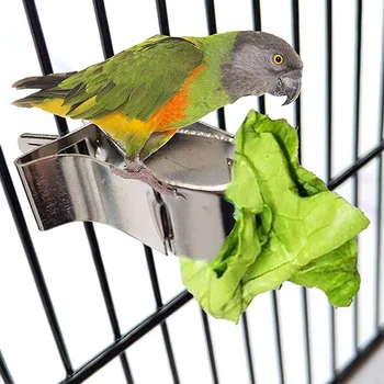 Kuş yemi Tutucu Pet Papağan Besleme Meyve Sebze Klip Besleyici Cihazı Pin Kelepçe Dayanıklı Ev Gereçleri Kuş Kafesi