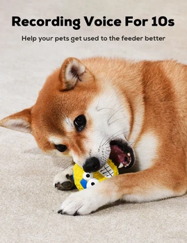 Köpek Oyuncak Gıcırtılı Köpek Topu Lateks Kauçuk Köpek Squeak Oyuncaklar Yumuşak Kabarık Fetch Topları Orta Küçük Evcil Hayvanlar için İnteraktif Oyun Malzemeleri