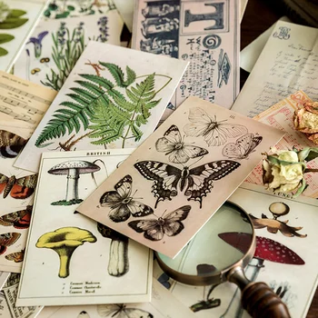 Mr. Kağıt 30 adet / kutu Vintage Kelebek Kartpostal Edebi Estetik Çiçek Hediye Mesaj Tebrik Tebrik Kartı Nimet Kartpostal