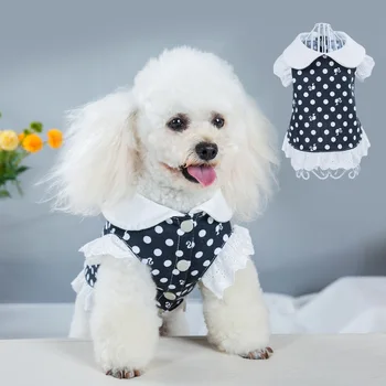 Yeni Bahar / Yaz Kedi Elbise Prenses Dantel Yavru Köpek Kedi Etek Sevimli Polka Dot Teddy Pet Elbise Köpek Yaz Elbiseler