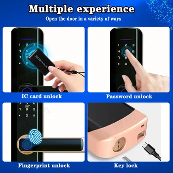 Yeni Stil Biyometrik Parmak İzi Akıllı Kapı Kilidi, Destek Elektronik Şifre RFID Kart, Dijital TTLOCK APP